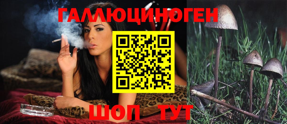 Галлюциногенные грибы GOLDEN TEACHER  Галлюциногенные грибы GOLDEN TEACHER  Вход с VPN  Строитель 